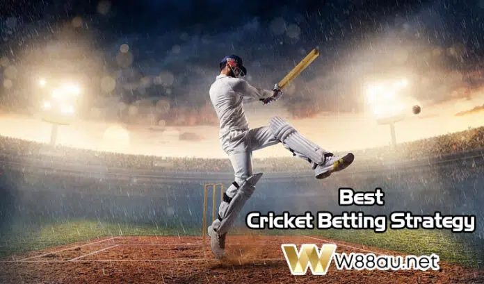 Cricket Betting Strategy