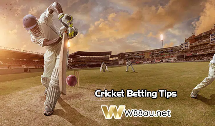 Cricket Betting Tips