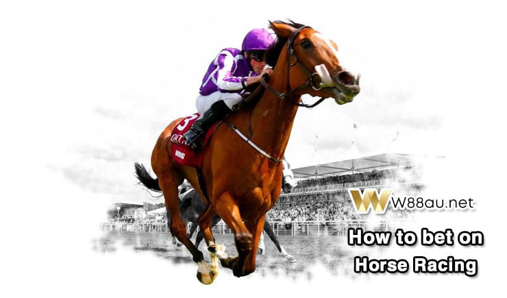How to bet on Horse Racing
