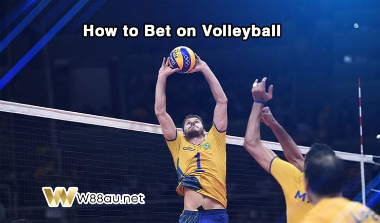 How to bet on Volleyball