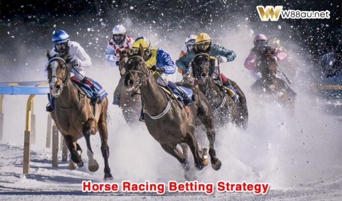 Horse Racing Betting Strategy