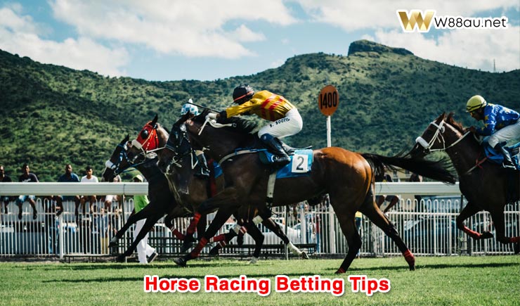 Horse Racing Betting Tips