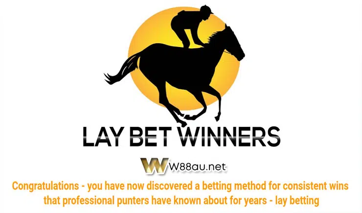 Lay betting explained