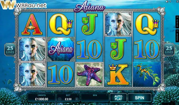 How to play Ariana Slot