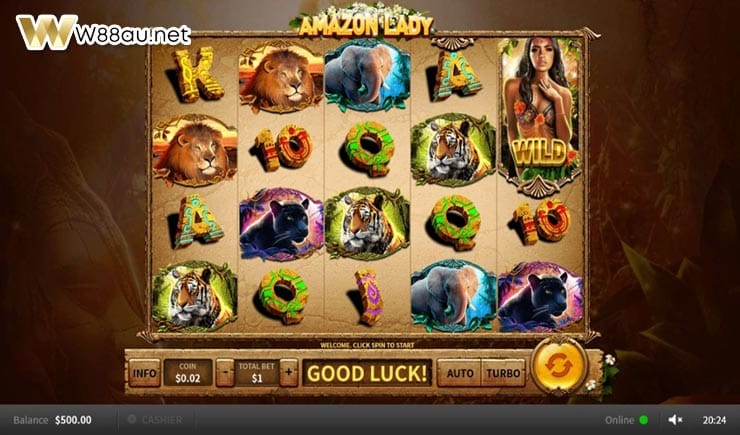 How to play Amazon Lady Slot
