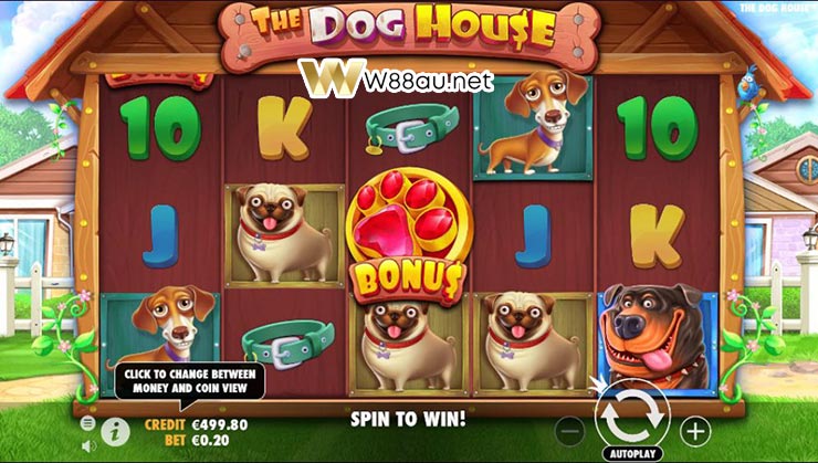 How to play The Dog House Slot