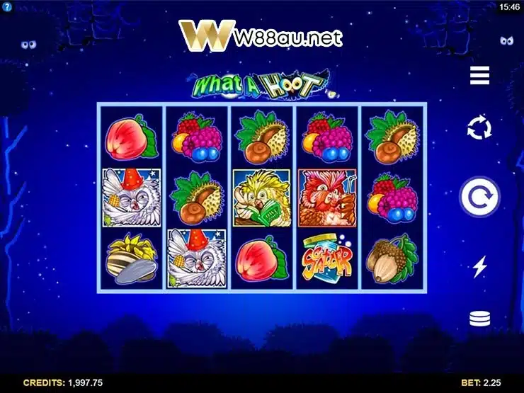 Overview of What a Hoot Slot