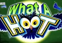 What a Hoot Slot: Review, RTP and Payout Features What a Hoot Slot