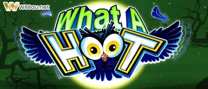 What a Hoot Slot